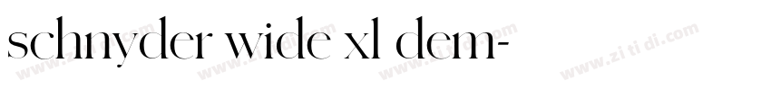 schnyder wide xl dem字体转换